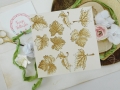 DSCN9561.JPG