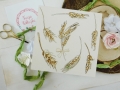 DSCN9570.JPG
