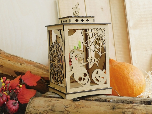 DSCN7507.JPG