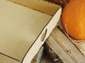 DSCN7511.JPG
