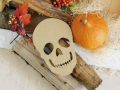DSCN7440.JPG