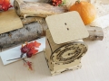 DSCN7558.JPG
