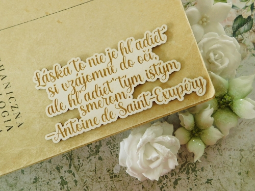 DSCN8527.JPG