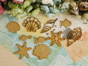 HDF - Podróże 2023 - Zestaw - Ryby, muszle