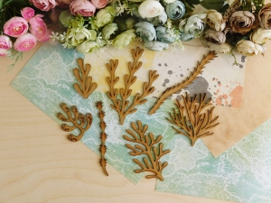 HDF - Podróże 2023 - Zestaw - Wodorosty I