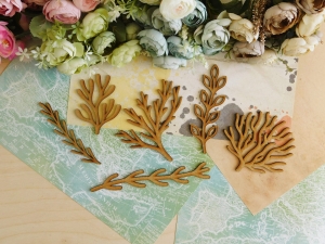 HDF - Podróże 2023 - Zestaw - Wodorosty II