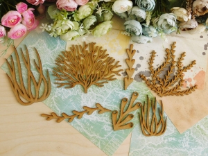 HDF - Podróże 2023 - Zestaw - Wodorosty III