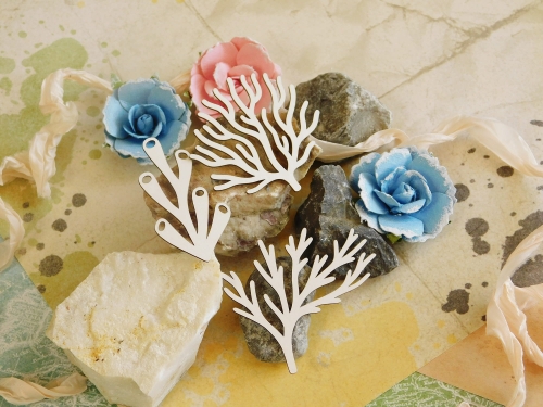 DSCN9108.JPG