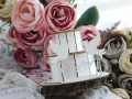DSCN9031.JPG