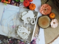 DSCN9118.JPG