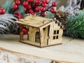 DSCN9223.JPG