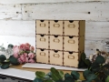 DSCN9542.JPG