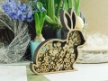 DSCN9730.JPG
