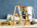 DSCN9038.JPG