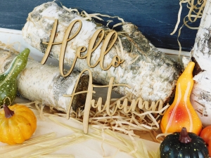 HDF - Jesień 2024 - Hello Autumn