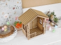 DSCN9037.JPG