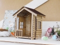 DSCN9038.JPG