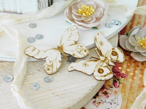 DSCN8134.JPG