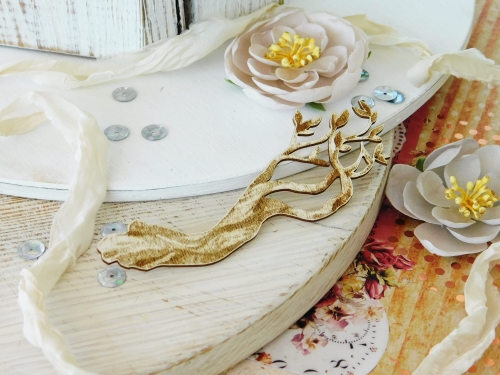 DSCN8151.JPG